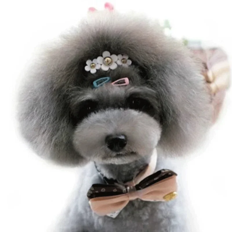 5pc/set Korean Mini 2cm Colorf - Vintage Fashion Doll ulasan dan harga